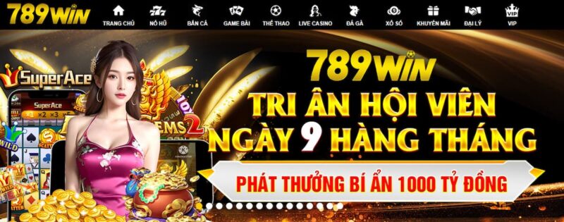 Giới thiệu về nhà cái 789Win